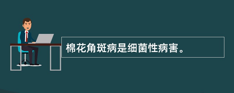 棉花角斑病是细菌性病害。