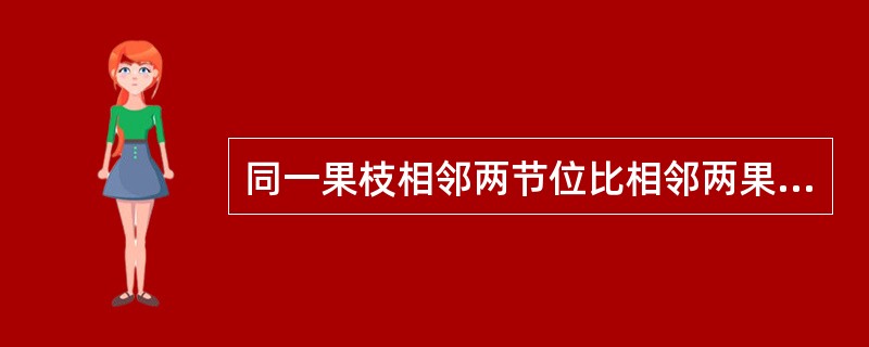 同一果枝相邻两节位比相邻两果枝相同节位现蕾间隔天数要短。