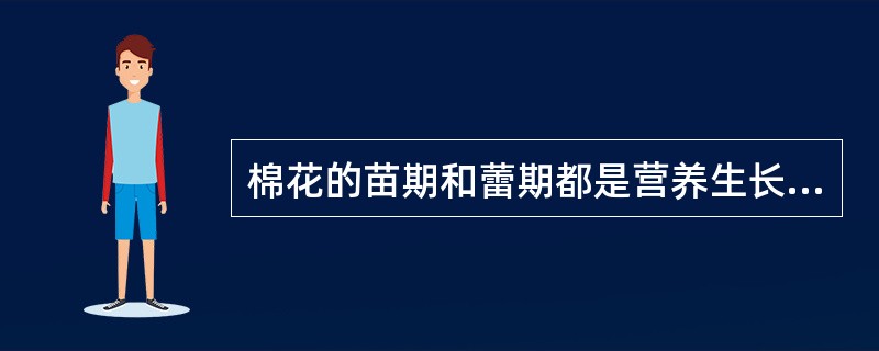 棉花的苗期和蕾期都是营养生长期。