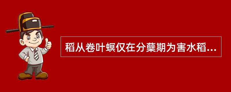 稻从卷叶螟仅在分蘖期为害水稻，以幼虫啃食水稻叶片叶肉，仅留下表皮。