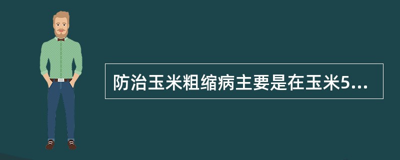 防治玉米粗缩病主要是在玉米5叶期前后药杀灰飞虱和使用10%病毒王可湿性粉剂（）倍