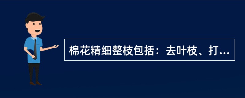 棉花精细整枝包括：去叶枝、打顶、打边心、抹赘芽、打老叶、去空枝。