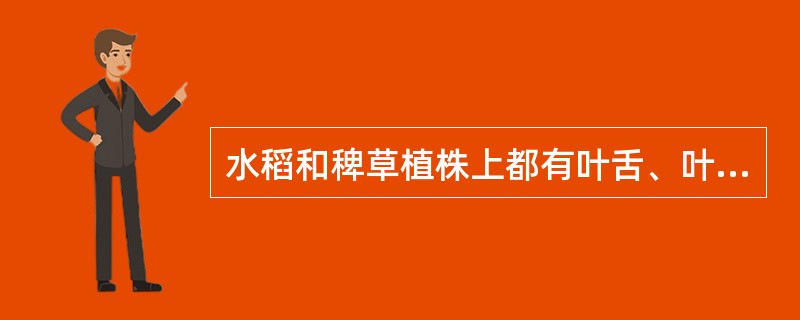 水稻和稗草植株上都有叶舌、叶耳、叶枕。