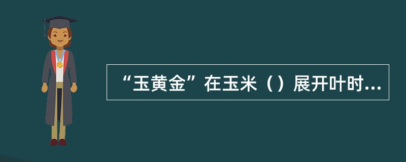 “玉黄金”在玉米（）展开叶时使用，能降低穗位和株高而抗倒，减少空杆、小穗，防秃尖