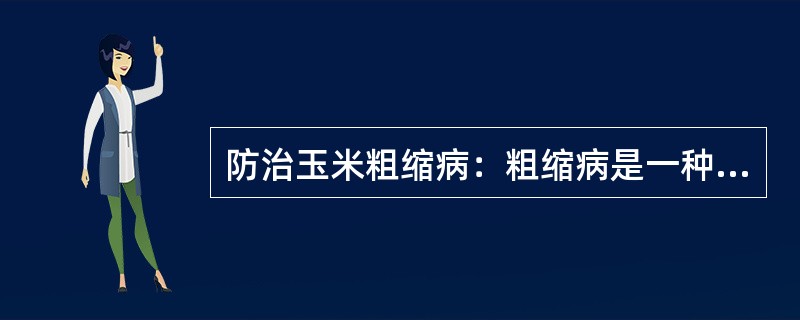 防治玉米粗缩病：粗缩病是一种病毒病，主要由灰飞虱传毒。