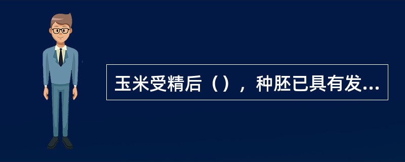 玉米受精后（），种胚已具有发芽能力。