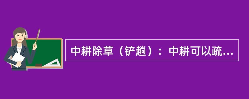 中耕除草（铲趟）：中耕可以疏松土壤，促进土壤微生物活动和有机质分解，增加土壤的有