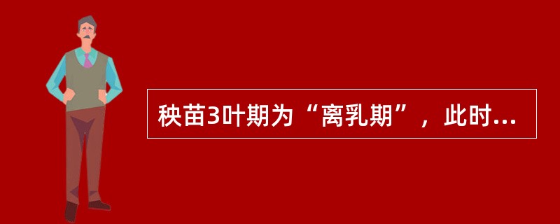 秧苗3叶期为“离乳期”，此时必须施用“断奶肥”。