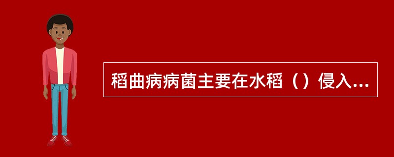 稻曲病病菌主要在水稻（）侵入，灌浆后显症，为害穗部谷粒。病谷比健谷大（）倍，呈墨