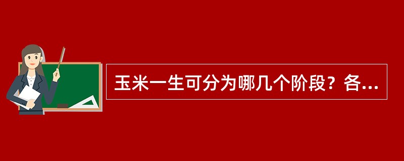 玉米一生可分为哪几个阶段？各阶段的主要特点是什么？