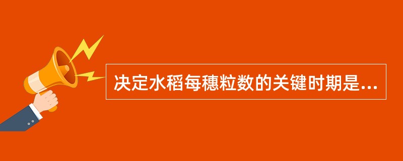 决定水稻每穗粒数的关键时期是（）