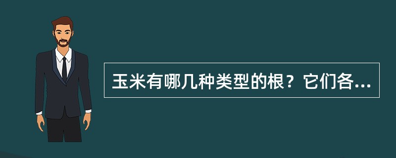 玉米有哪几种类型的根？它们各有什么特点？根系发育好坏与产量有什么关系？怎样的条件