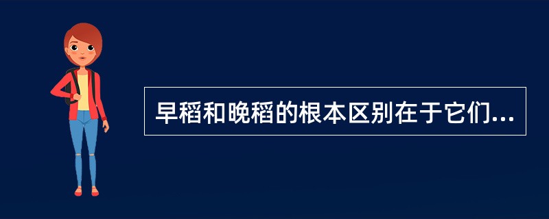 早稻和晚稻的根本区别在于它们对日长反应的不同。