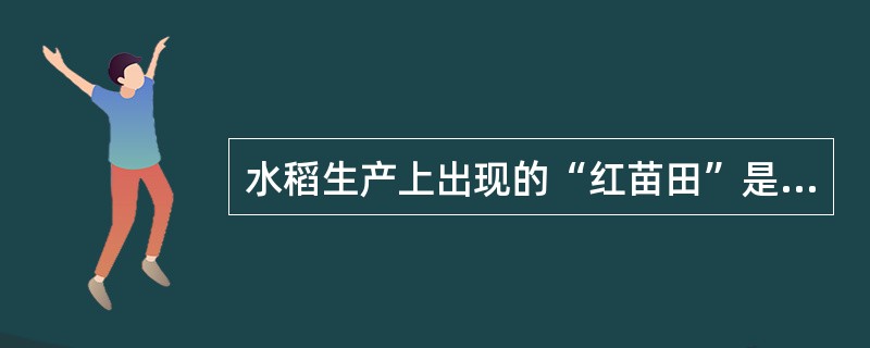 水稻生产上出现的“红苗田”是水稻缺（）肥。