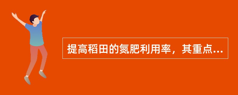 提高稻田的氮肥利用率，其重点是减少脱氮损失和氨挥发。