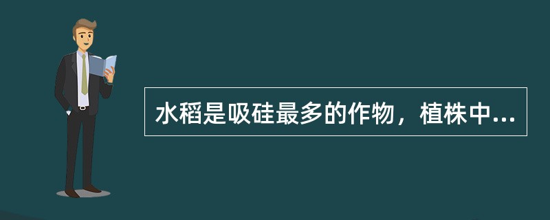 水稻是吸硅最多的作物，植株中硅含量可达（），被称为“喜硅作物”。