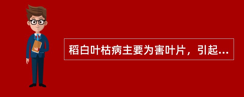 稻白叶枯病主要为害叶片，引起叶片（）.