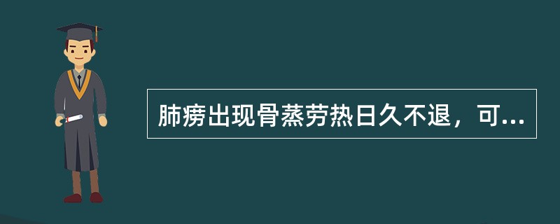 肺痨出现骨蒸劳热日久不退，可选用（）