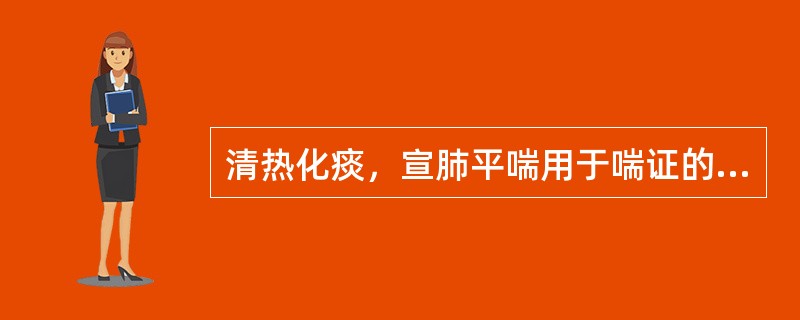 清热化痰，宣肺平喘用于喘证的哪一个证型（）