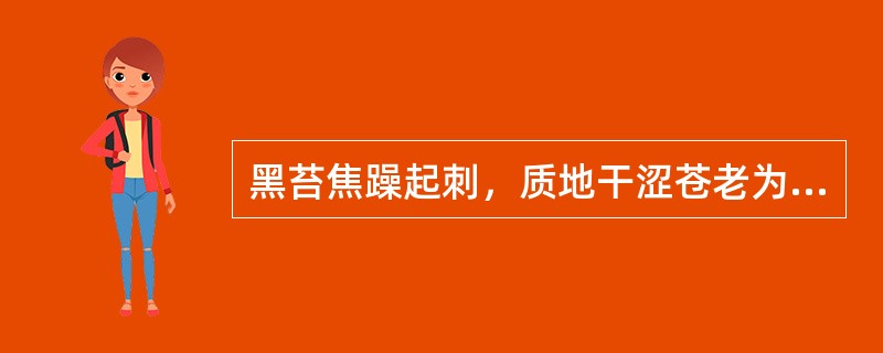 黑苔焦躁起刺，质地干涩苍老为（）的征象，脾湿未化而胃津已伤的舌象是（）。