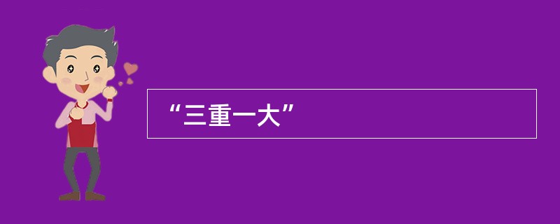 “三重一大”
