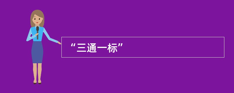 “三通一标”