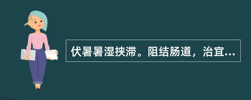 伏暑暑湿挟滞。阻结肠道，治宜（），代表方为（）