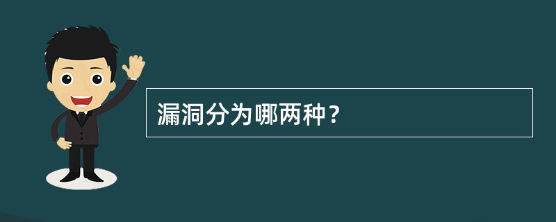 漏洞分为哪两种？