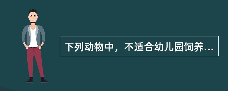 下列动物中，不适合幼儿园饲养的动物为（）