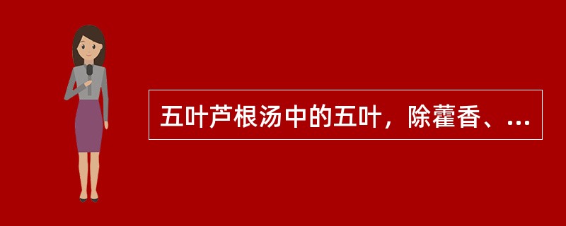 五叶芦根汤中的五叶，除藿香、佩兰叶外尚有：（）