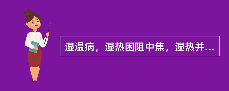 湿温病，湿热困阻中焦，湿热并重，治宜辛开苦降，清化湿热，方用（）。