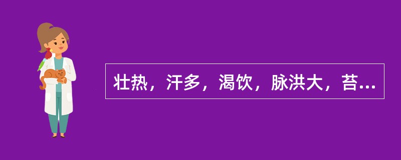 壮热，汗多，渴饮，脉洪大，苔黄燥，为（）