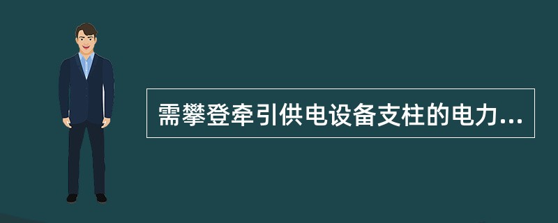 需攀登牵引供电设备支柱的电力检修，由（）现场监控进行。