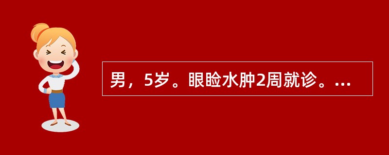 男，5岁。眼睑水肿2周就诊。查体：Hb97g／L，尿蛋白++，尿红细胞+／HP，
