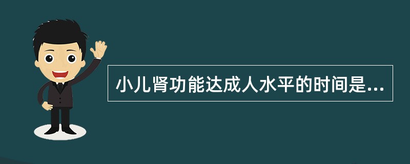 小儿肾功能达成人水平的时间是（）