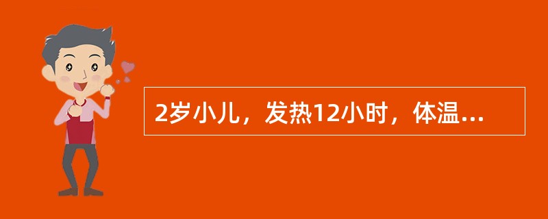 2岁小儿，发热12小时，体温39℃，惊厥1次，表现为双目凝视，四肢抖动，呼之不应