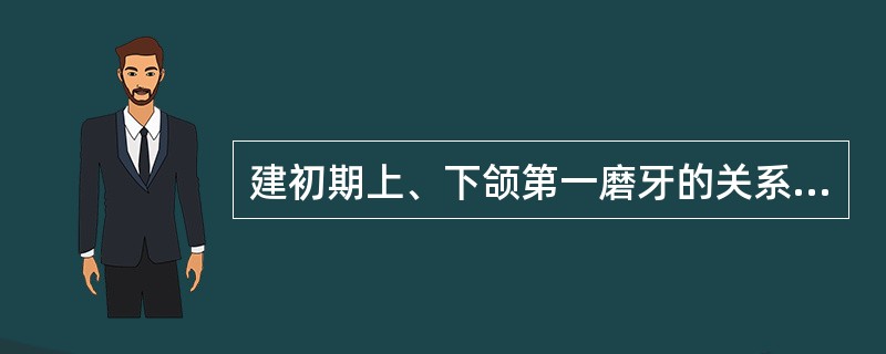 建初期上、下颌第一磨牙的关系为（）