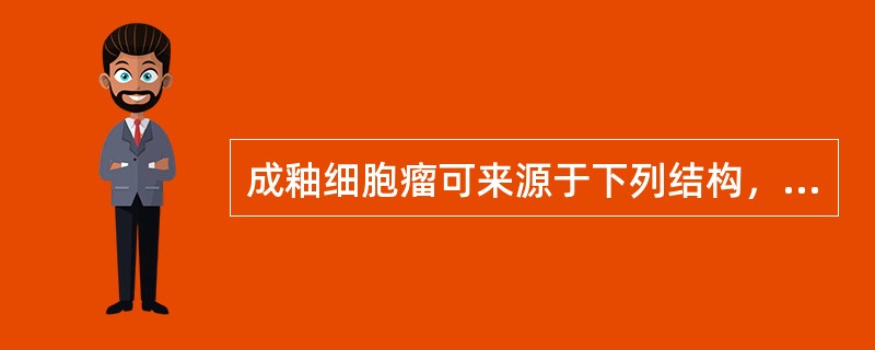 成釉细胞瘤可来源于下列结构，除了（）