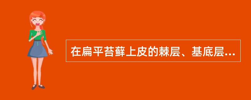 在扁平苔藓上皮的棘层、基底层的黏膜固有层可见到的圆形均质性嗜酸性物质叫作（）