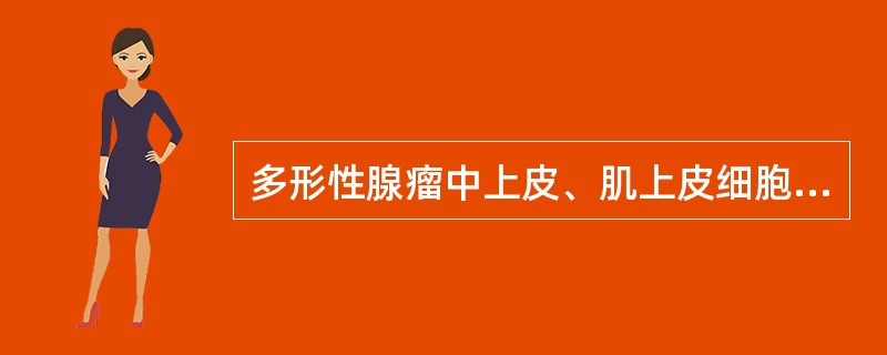 多形性腺瘤中上皮、肌上皮细胞与以下何组织相混合（）