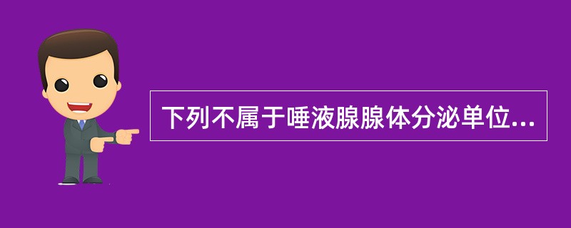 下列不属于唾液腺腺体分泌单位的是（）