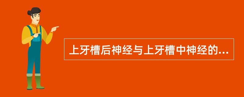 上牙槽后神经与上牙槽中神经的交叉部位于（）