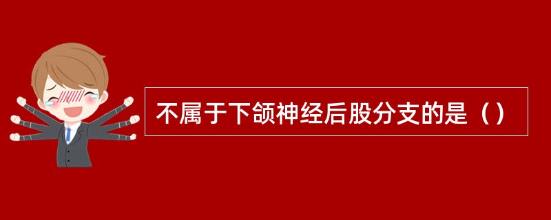 不属于下颌神经后股分支的是（）