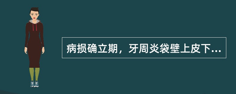 病损确立期，牙周炎袋壁上皮下的炎症浸润细胞主要是（）