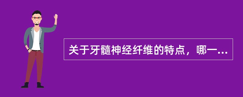 关于牙髓神经纤维的特点，哪一点不正确（）