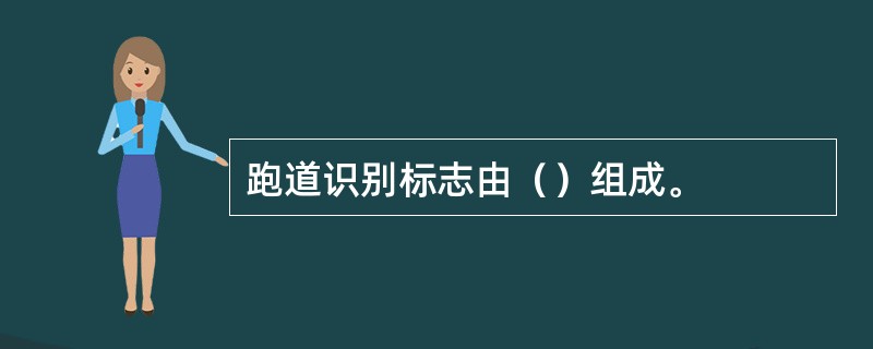 跑道识别标志由（）组成。