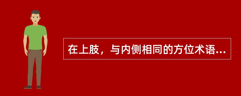 在上肢，与内侧相同的方位术语又称（）