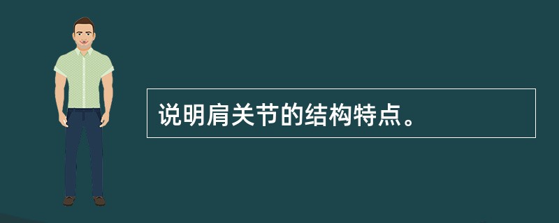 说明肩关节的结构特点。