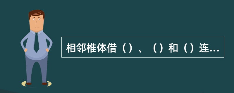 相邻椎体借（）、（）和（）连结。