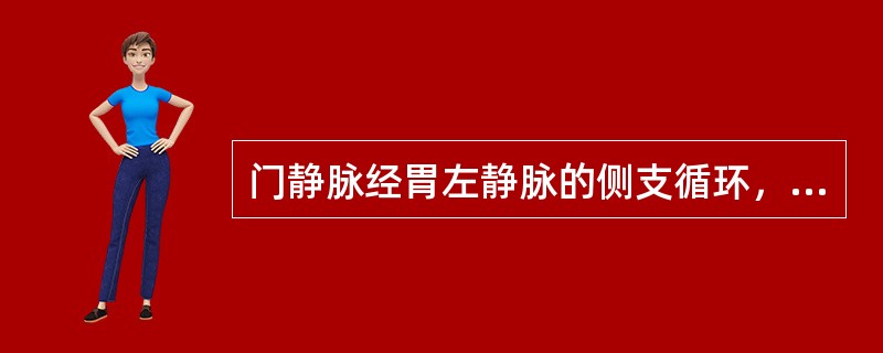 门静脉经胃左静脉的侧支循环，不经过（）。